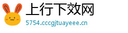 上行下效网